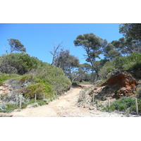 รูปถ่าย ฝรั่งเศส(France) เกาะปอร์เกอรอล(Porquerolles Island) หาดกูร์ตาด(Courtade beach) 2008-05 74