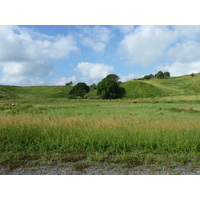 รูปถ่าย ฟิจิ(Fiji) ถนนจากนาดีไปนาตาโดลา(Nadi to Natadola road) 2010-05 50