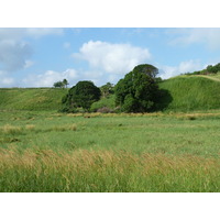รูปถ่าย ฟิจิ(Fiji) ถนนจากนาดีไปนาตาโดลา(Nadi to Natadola road) 2010-05 61