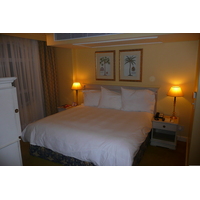 รูปถ่าย แอฟริกาใต้(South Africa) เคปทาวน์(Cape Town) โรงแรมแรดิสัน(Radisson Hotel) 2008-09 32