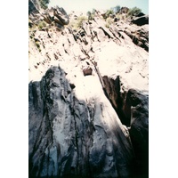 รูปถ่าย สหรัฐอเมริกา(United States) อุทยานแห่งชาติโยเซมิที(Yosemite National Park) 1992-08 38