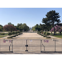 รูปถ่าย ฝรั่งเศส(France) ปารีสช่วงล็อกดาวน์(Paris lockdown) 2020-04 175