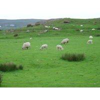รูปถ่าย ไอร์แลนด์(Ireland) เคอร์รี่(Kerry) เคลส์(Kells) 2004-05 4