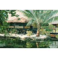 รูปถ่าย เฟรนช์โพลี่นีเซีย(Polynesia) 1993-04 65