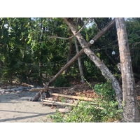 รูปถ่าย คอสตาริกา(Costa Rica) มานวยล์อันโตนีโอ(Manuel Antonio) 2015-03 270