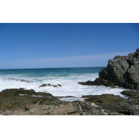 รูปถ่าย แอฟริกาใต้(South Africa) อุทยานแห่งชาติซิตซิคัมมา(Tsitsikamma National Park) 2008-09 231