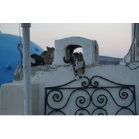รูปถ่าย กรีก(Greece) ซานโตรินี(Santorini) บ้านถ้ำโอยา(Oia cave house) 2016-07 21