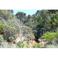 รูปถ่าย ฝรั่งเศส(France) เกาะปอร์เกอรอล(Porquerolles Island) หาดกูร์ตาด(Courtade beach) 2008-05 42