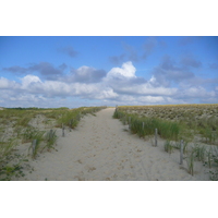 รูปถ่าย ฝรั่งเศส(France) ลากาโน(Lacanau) 2007-08 138