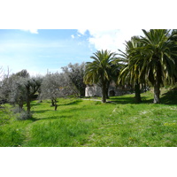 รูปถ่าย ฝรั่งเศส(France) วังซ์(Vence) โอเดอว็องส์(Hauts de Vence) 2008-03 114