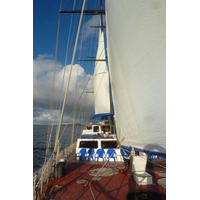 รูปถ่าย เซเชลส์(Seychelles) ซีสตาร์(Sea Star) 2011-10 59
