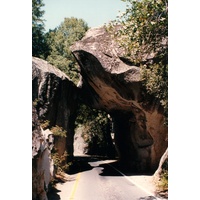 รูปถ่าย สหรัฐอเมริกา(United States) อุทยานแห่งชาติโยเซมิที(Yosemite National Park) 1992-08 35