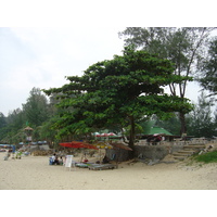 รูปถ่าย ไทย(Thailand) ภูเก็ต(Phuket) หาดสุรินทร์(Surin Beach) 2005-12 9