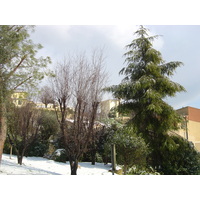 รูปถ่าย ฝรั่งเศส(France) วังซ์(Vence) 2005-02 30