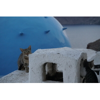 รูปถ่าย กรีก(Greece) ซานโตรินี(Santorini) บ้านถ้ำโอยา(Oia cave house) 2016-07 17