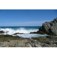รูปถ่าย แอฟริกาใต้(South Africa) อุทยานแห่งชาติซิตซิคัมมา(Tsitsikamma National Park) 2008-09 449