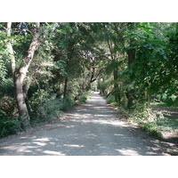 รูปถ่าย ฝรั่งเศส(France) วีลเนิฟ-ลูแบ(Villeneuve Loubet) สวนโวเกรอนีเย(Parc de Vaugrenier) 2006-09 9