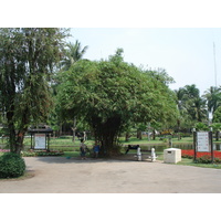 รูปถ่าย ไทย(Thailand) เชียงใหม่(Chiang Mai) ข้างในคุเมืองเชียงใหม่(Inside Canal) สวนบวกหาด(Buak Had Park) 2006-04 2