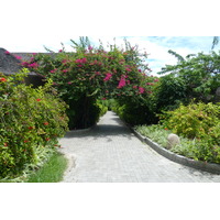 รูปถ่าย เซเชลส์(Seychelles) เกาะลาดีก(La Digue) 2011-10 144