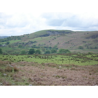 รูปถ่าย อังกฤษ(United Kingdom) อุทยานแห่งชาติเบรคอนบีคอนส์(Brecon Beacons National Park) 2006-05 87