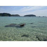 รูปถ่าย ไทย(Thailand) ภูเก็ต(Phuket) หาดในหาน(Nai Harn Beach) 2021-12 9