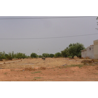 รูปถ่าย โมร็อกโก(Morocco) ถนนจากเฟสไปราบัต(Fes to Rabat Road) 2008-07 46