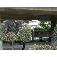 รูปถ่าย ฝรั่งเศส(France) ปารีส(Paris) ลาเดฟ็องส์(La Defense) 2007-05 185