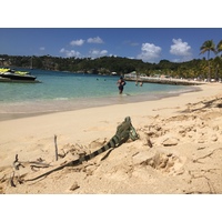 รูปถ่าย กวาเดอลูป(Guadeloupe) หาดลาการาแวล(La Caravelle Beach) 2021-02 88
