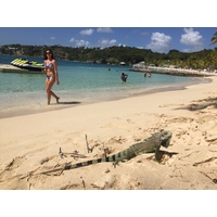 รูปถ่าย กวาเดอลูป(Guadeloupe) หาดลาการาแวล(La Caravelle Beach) 2021-02 96