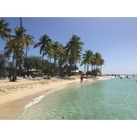 รูปถ่าย กวาเดอลูป(Guadeloupe) หาดลาการาแวล(La Caravelle Beach) 2021-02 86