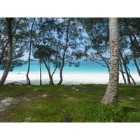 รูปถ่าย นิวแคลิโดเนีย(New Caledonia) เกาะลีฟู(Lifou) อ่าวชาโตบรีย็อง(Chateaubriand Bay) 2010-05 93