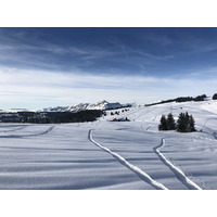 รูปถ่าย ฝรั่งเศส(France) ปรา-ซูร์-อาร์ลี(Praz sur Arly) 2019-12 169