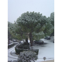 รูปถ่าย ฝรั่งเศส(France) วังซ์(Vence) 2005-02 25