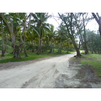 รูปถ่าย นิวแคลิโดเนีย(New Caledonia) เกาะลีฟู(Lifou) อ่าวชาโตบรีย็อง(Chateaubriand Bay) 2010-05 98