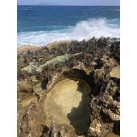 รูปถ่าย กวาเดอลูป(Guadeloupe) แหลมคาสเซิลพอยต์(Castle Point) 2021-02 219