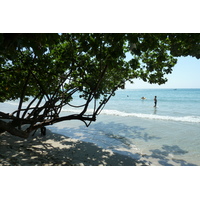 รูปถ่าย ไทย(Thailand) เกาะช้าง(Ko Chang) 2011-01 74