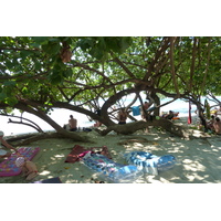 รูปถ่าย ไทย(Thailand) เกาะช้าง(Ko Chang) 2011-01 54