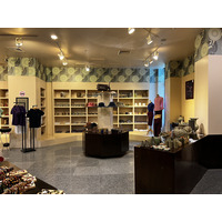 รูปถ่าย กัมพูชา(Cambodia) เสียมราฐ(Siem Reap) พิพิธภัณฑ์แห่งชาติอังกอร์(Angkor National Museum) 2023-01 36