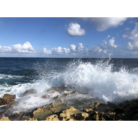 รูปถ่าย กวาเดอลูป(Guadeloupe) แหลมคาสเซิลพอยต์(Castle Point) 2021-02 299