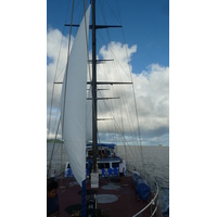 รูปถ่าย เซเชลส์(Seychelles) ซีสตาร์(Sea Star) 2011-10 19