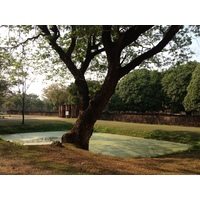 รูปถ่าย ไทย(Thailand) สุโขทัย(Sukhothai) 2014-02 29
