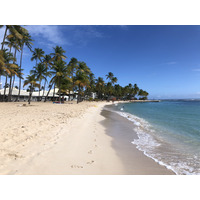 รูปถ่าย กวาเดอลูป(Guadeloupe) หาดลาการาแวล(La Caravelle Beach) 2021-02 101