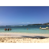รูปถ่าย กวาเดอลูป(Guadeloupe) หาดลาการาแวล(La Caravelle Beach) 2021-02 85