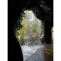 รูปถ่าย สิงคโปร์(Singapore) สวนพฤกษศาสตร์สิงคโปร์(Singapore Botanic Gardens) 2023-01 54