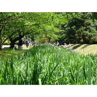 รูปถ่าย ญี่ปุ่น(Japan) โตเกียว(Tokyo) สวนฮามะริคิว(Hama rikyu Gardens) 2010-06 110