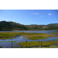 รูปถ่าย แอฟริกาใต้(South Africa) ไนส์นาเฮดส์(Knysna Heads) 2008-09 40