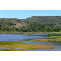 รูปถ่าย แอฟริกาใต้(South Africa) ไนส์นาเฮดส์(Knysna Heads) 2008-09 39