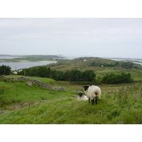รูปถ่าย ไอร์แลนด์(Ireland) คอนเนอมารา(Connemara) 2003-09 36