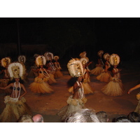 รูปถ่าย เฟรนช์โพลี่นีเซีย(Polynesia) มูเรีย(Moorea) 2006-04 231