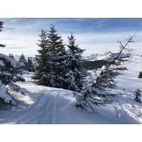 รูปถ่าย ฝรั่งเศส(France) ปรา-ซูร์-อาร์ลี(Praz sur Arly) 2019-12 313